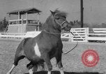 Standbild Ronnie Graham California United States USA, 1954, aus Sekunde 43 historischem Filmmaterial Videoclip 65675044581
