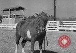 Standbild Ronnie Graham California United States USA, 1954, aus Sekunde 44 historischem Filmmaterial Videoclip 65675044581