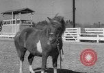Standbild Ronnie Graham California United States USA, 1954, aus Sekunde 45 historischem Filmmaterial Videoclip 65675044581