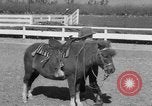 Standbild Ronnie Graham California United States USA, 1954, aus Sekunde 49 historischem Filmmaterial Videoclip 65675044581