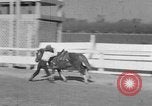 Standbild Ronnie Graham California United States USA, 1954, aus Sekunde 59 historischem Filmmaterial Videoclip 65675044581