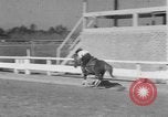 Standbild Ronnie Graham California United States USA, 1954, aus Sekunde 60 historischem Filmmaterial Videoclip 65675044581