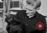 Standbild Seeotter Seattle Washington USA, 1954, aus Sekunde 8 historischem Filmmaterial Videoclip 65675044586