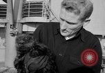 Standbild Seeotter Seattle Washington USA, 1954, aus Sekunde 9 historischem Filmmaterial Videoclip 65675044586