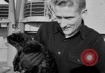 Standbild Seeotter Seattle Washington USA, 1954, aus Sekunde 13 historischem Filmmaterial Videoclip 65675044586