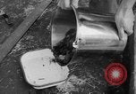 Standbild Seeotter Seattle Washington USA, 1954, aus Sekunde 23 historischem Filmmaterial Videoclip 65675044586
