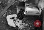 Standbild Seeotter Seattle Washington USA, 1954, aus Sekunde 24 historischem Filmmaterial Videoclip 65675044586