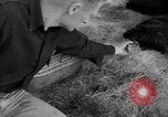 Standbild Seeotter Seattle Washington USA, 1954, aus Sekunde 27 historischem Filmmaterial Videoclip 65675044586