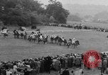 Standbild Keith Lester Piggott Epsom-downs-England, 1954, aus Sekunde 33 historischem Filmmaterial Videoclip 65675044588