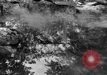 Image of President Herbert Hoover Virginia United States USA, 1931, second 40 stock footage video 65675044621