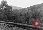Image of President Herbert Hoover United States USA, 1931, second 1 stock footage video 65675044632