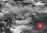 Image of President Herbert Hoover United States USA, 1931, second 41 stock footage video 65675044632