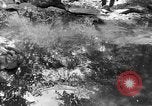 Image of President Herbert Hoover United States USA, 1931, second 43 stock footage video 65675044632