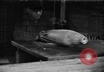 Image Fabrication de gros obus d'artillerie Bethlehem Pennsylvania USA, 1918, de la seconde 1 séquences d'archives historiques vidéo 65675044662