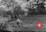 Immagine di Soldati francesi Belgio Fiandre, 1915, secondo 23 filmato di repertorio 65675044665