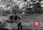 Immagine di Soldati francesi Belgio Fiandre, 1915, secondo 29 filmato di repertorio 65675044665