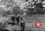 Immagine di Soldati francesi Belgio Fiandre, 1915, secondo 30 filmato di repertorio 65675044665