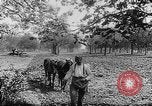 Immagine di Soldati francesi Belgio Fiandre, 1915, secondo 31 filmato di repertorio 65675044665
