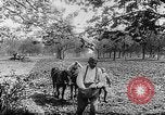Immagine di Soldati francesi Belgio Fiandre, 1915, secondo 32 filmato di repertorio 65675044665