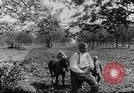 Immagine di Soldati francesi Belgio Fiandre, 1915, secondo 33 filmato di repertorio 65675044665