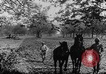 Immagine di Soldati francesi Belgio Fiandre, 1915, secondo 36 filmato di repertorio 65675044665