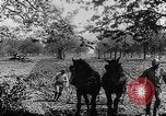 Immagine di Soldati francesi Belgio Fiandre, 1915, secondo 37 filmato di repertorio 65675044665
