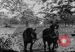 Immagine di Soldati francesi Belgio Fiandre, 1915, secondo 39 filmato di repertorio 65675044665