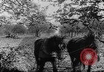 Immagine di Soldati francesi Belgio Fiandre, 1915, secondo 40 filmato di repertorio 65675044665