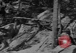 Image of American soldiers in trenches near front in World War 1 France, 1917, second 5 stock footage video 65675044671