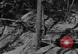 Image of American soldiers in trenches near front in World War 1 France, 1917, second 7 stock footage video 65675044671