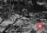 Image of American soldiers in trenches near front in World War 1 France, 1917, second 16 stock footage video 65675044671
