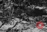 Image of American soldiers in trenches near front in World War 1 France, 1917, second 18 stock footage video 65675044671