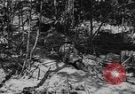 Image of American soldiers in trenches near front in World War 1 France, 1917, second 19 stock footage video 65675044671