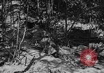 Image of American soldiers in trenches near front in World War 1 France, 1917, second 21 stock footage video 65675044671
