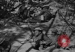 Image of American soldiers in trenches near front in World War 1 France, 1917, second 51 stock footage video 65675044671