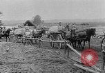Image of Food aid from Friends Relief Committee of London, England Russia, 1917, second 5 stock footage video 65675044678