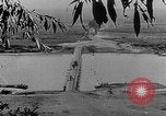Image of Food aid from Friends Relief Committee of London, England Russia, 1917, second 15 stock footage video 65675044678