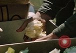 Immagine di Tumulti di Baltimore Baltimore Maryland USA, 1968, secondo 48 filmato di repertorio 65675044692