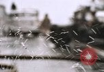 Image of Baltimore Riots Baltimore Maryland USA, 1968, second 4 stock footage video 65675044701