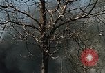 Image of Smoke from fires seen during riots Baltimore Maryland USA, 1968, second 15 stock footage video 65675044706