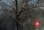 Image of Smoke from fires seen during riots Baltimore Maryland USA, 1968, second 16 stock footage video 65675044706