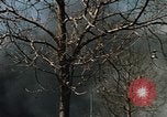 Image of Smoke from fires seen during riots Baltimore Maryland USA, 1968, second 17 stock footage video 65675044706