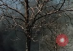 Image of Smoke from fires seen during riots Baltimore Maryland USA, 1968, second 18 stock footage video 65675044706