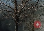 Image of Smoke from fires seen during riots Baltimore Maryland USA, 1968, second 19 stock footage video 65675044706
