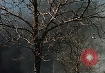 Image of Smoke from fires seen during riots Baltimore Maryland USA, 1968, second 20 stock footage video 65675044706