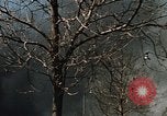 Image of Smoke from fires seen during riots Baltimore Maryland USA, 1968, second 21 stock footage video 65675044706