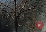 Image of Smoke from fires seen during riots Baltimore Maryland USA, 1968, second 22 stock footage video 65675044706