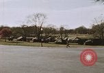 Immagine di Tumulti di Baltimore Baltimore Maryland USA, 1968, secondo 20 filmato di repertorio 65675044708