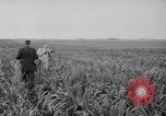 Immagine di Nikita Khrushchev Coon Rapids Iowa USA, 1959, secondo 28 filmato di repertorio 65675044709