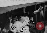 Image of Chicago White Sox vs Cleveland Indians Cleveland Ohio USA, 1959, second 48 stock footage video 65675044710